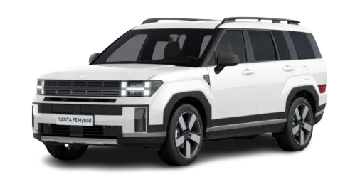 Hyundai_Santa Fe_17570.webp